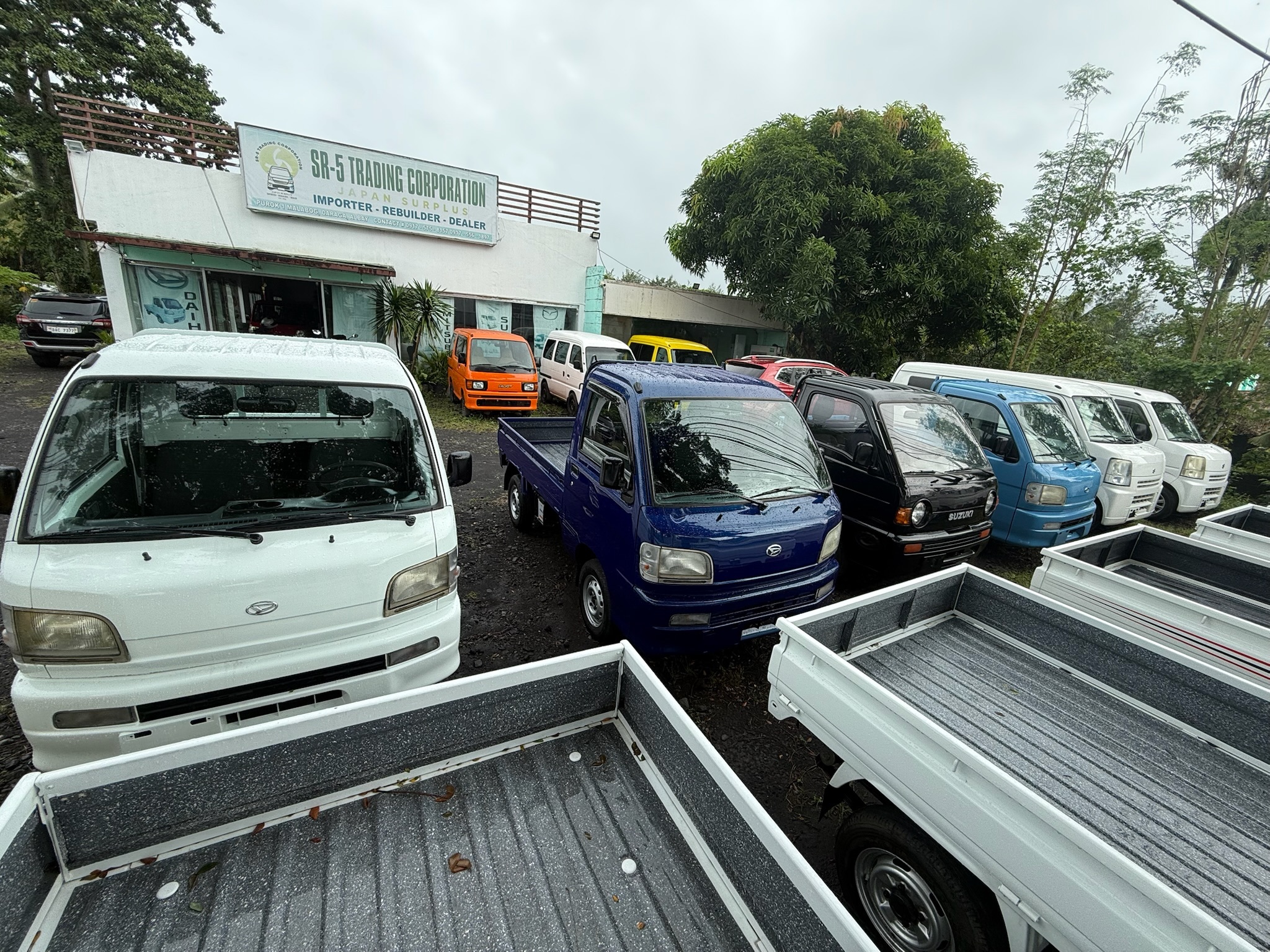 Expert Automotive Care